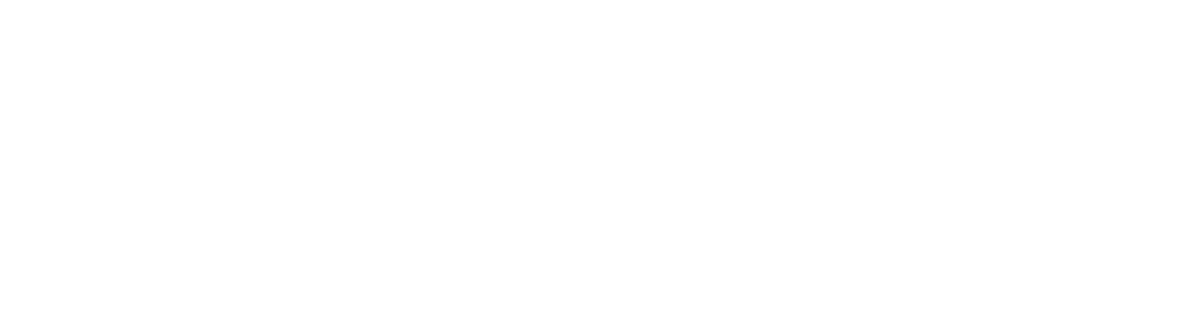 project icon