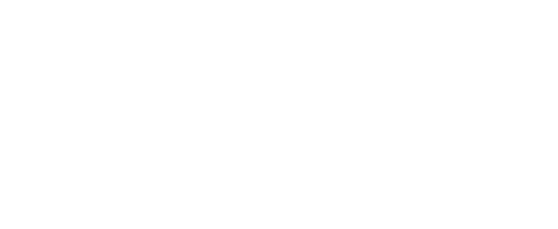 project icon